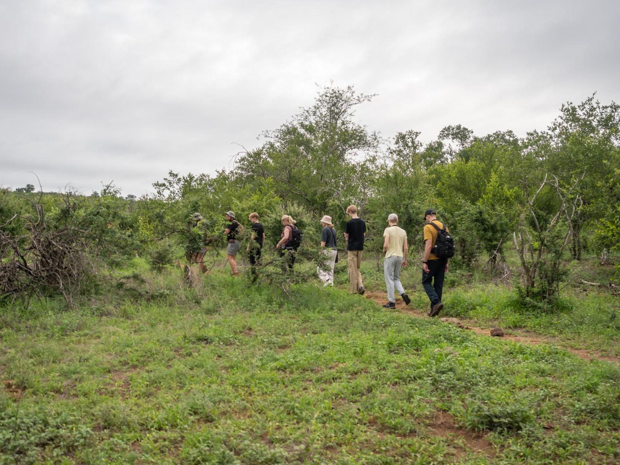Nyati Safari Lodge Hoedspruit Kültér fotó